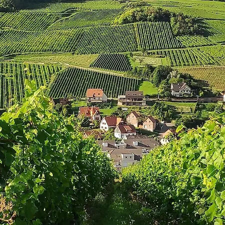 Sous Le Tilleul Ferienhaus *